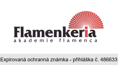 Flamenkeria akademie flamenca