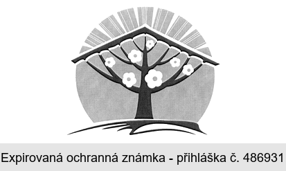 Ochranná známka