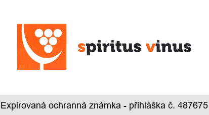 spiritus vinus