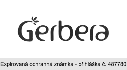 Gerbera