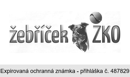 žebříček ZKO