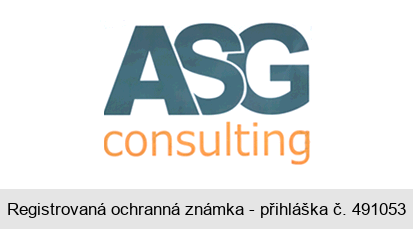 ASG consulting