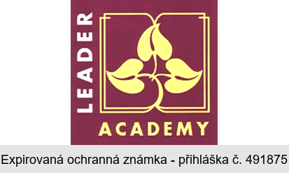 LEADER ACADEMY
