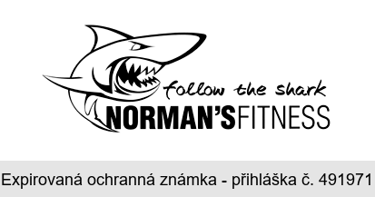 follow the shark NORMAN´S FITNESS
