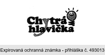 Chytrá hlavička