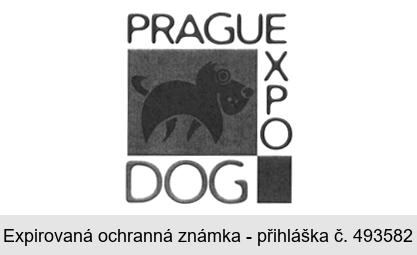 PRAGUE EXPO DOG