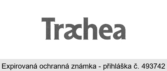 Trachea