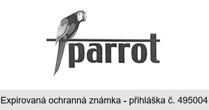 parrot