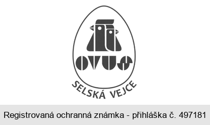 OVUS SELSKÁ VEJCE