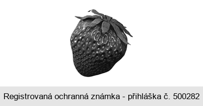 Ochranná známka