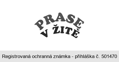 PRASE V ŽITĚ
