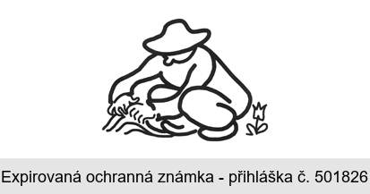 Ochranná známka