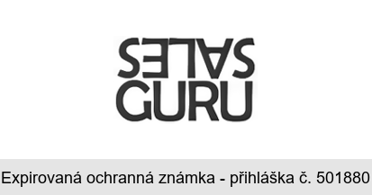 SALES GURU