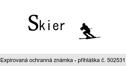 Skier