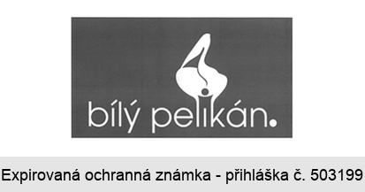 bílý pelikán.
