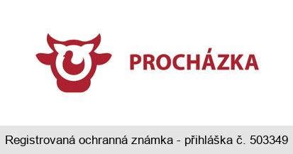 PROCHÁZKA