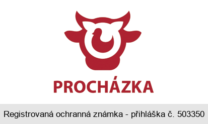 PROCHÁZKA