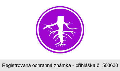 Ochranná známka