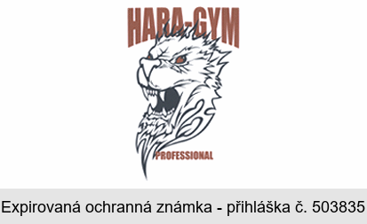 HARA-GYM PROFESSIONAL