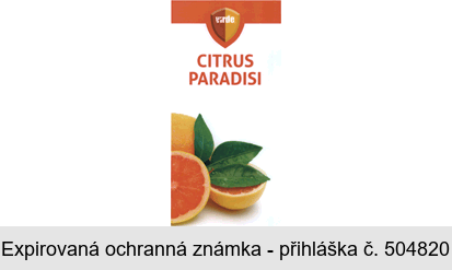 CITRUS PARADISI