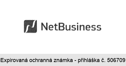 NetBusiness