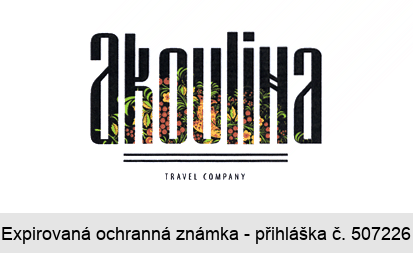 akoulina TRAVEL COMPANY