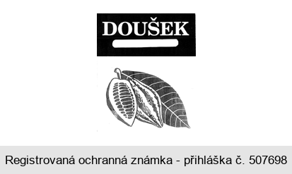 DOUŠEK