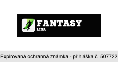 FANTASY LIGA