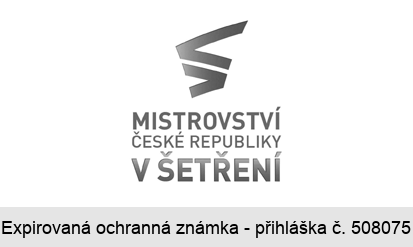 MISTROVSTVÍ ČESKÉ REPUBLIKY V ŠETŘENÍ