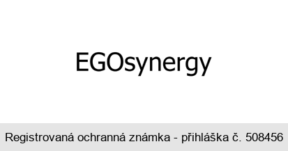 EGOsynergy