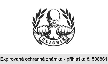 ULIČNÍK