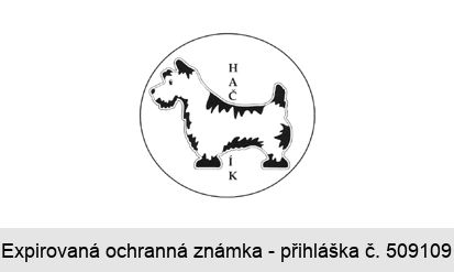 HAČÍK