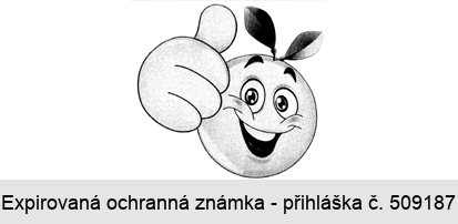Ochranná známka