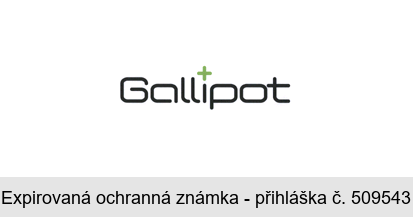 Gallipot