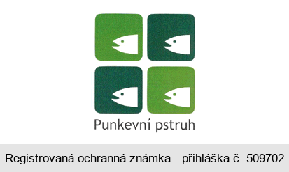 PUNKEVNÍ PSTRUH