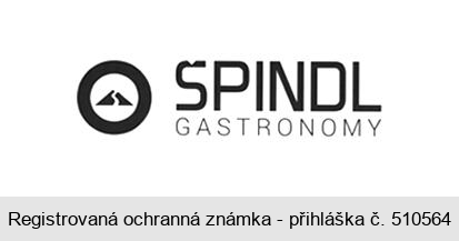 ŠPINDL GASTRONOMY