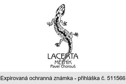 LACERTA MĚLNÍK Pavel Chorouš