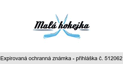 Malá hokejka