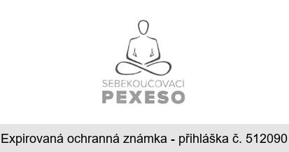 SEBEKOUČOVACÍ PEXESO