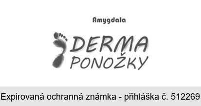 Amygdala DERMA PONOŽKY
