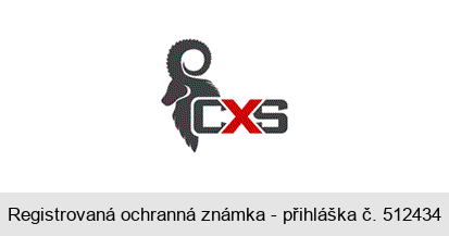 CXS