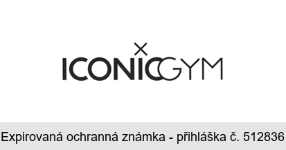 ICONICGYM