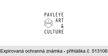 PAVLEYE ART & CULTURE P A C