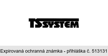 TS SYSTEM