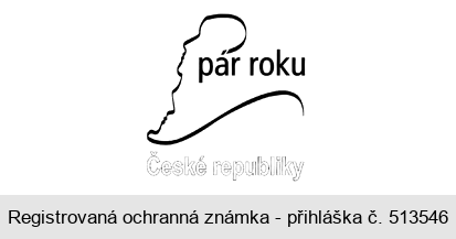 pár roku České republiky