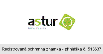 astur partner pro gastro