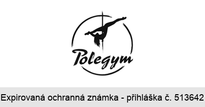 Polegym