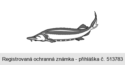 Ochranná známka