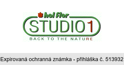 hol flor STUDIO 1 BACK TO THE NATURE