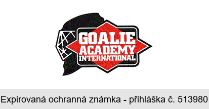 GOALIE ACADEMY INTERNATIONAL